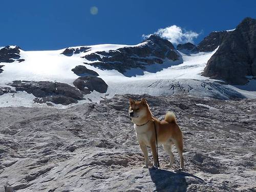爱游戏体育-引擎咆哮时，王朝的余晖与巨星的火焰