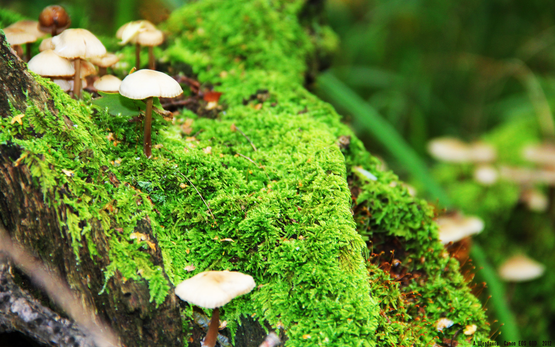 平行宇宙的交织,东决关键战如何单节定江山,黑色十连问引爆赛场