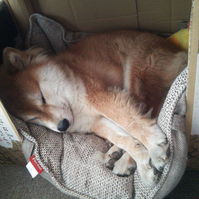 新星与豪门的对决，爱德华兹的烈焰如何照亮意甲焦点之夜