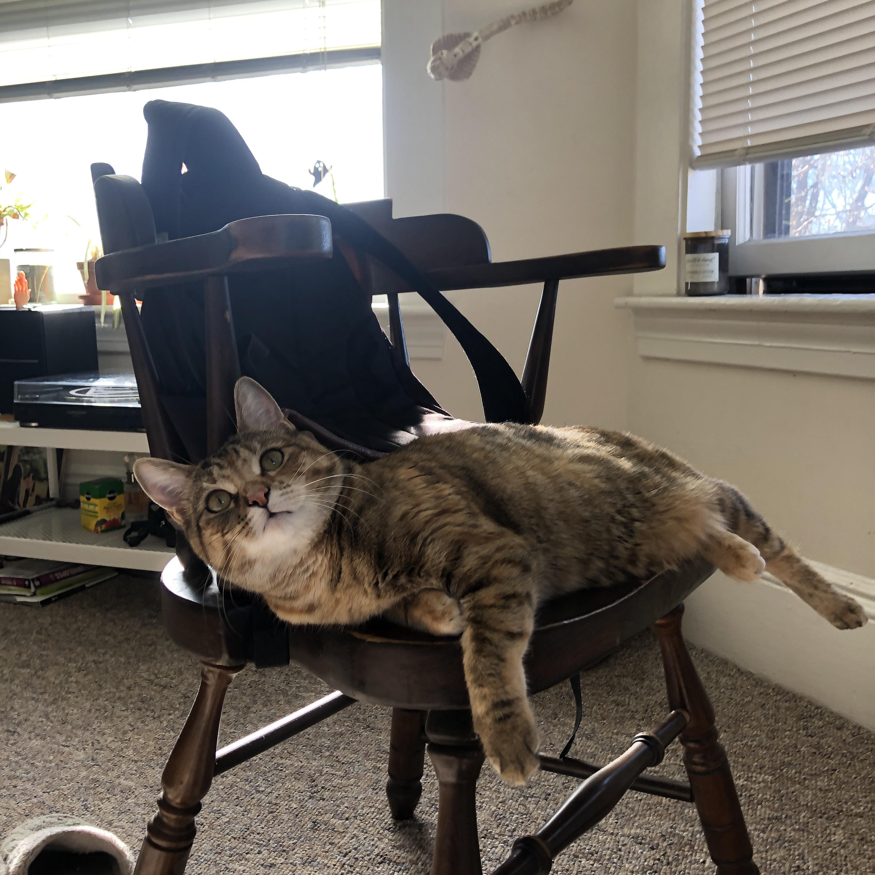 ‘天堑’的通途,杰伦·格林攻防统治力诠释勇士胜热火真谛