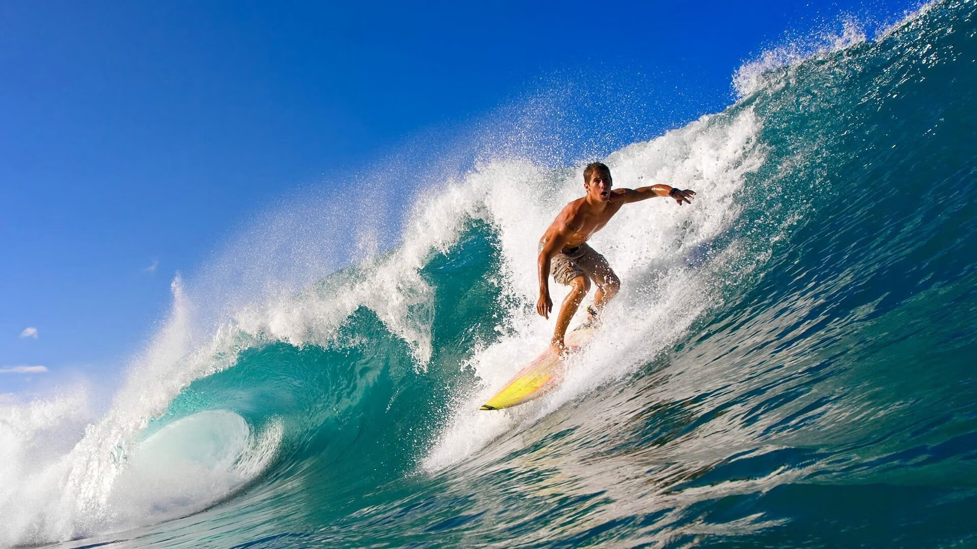 CBA赛场的恩比德时刻，当费尔德用统治级表现点燃晋浙之战