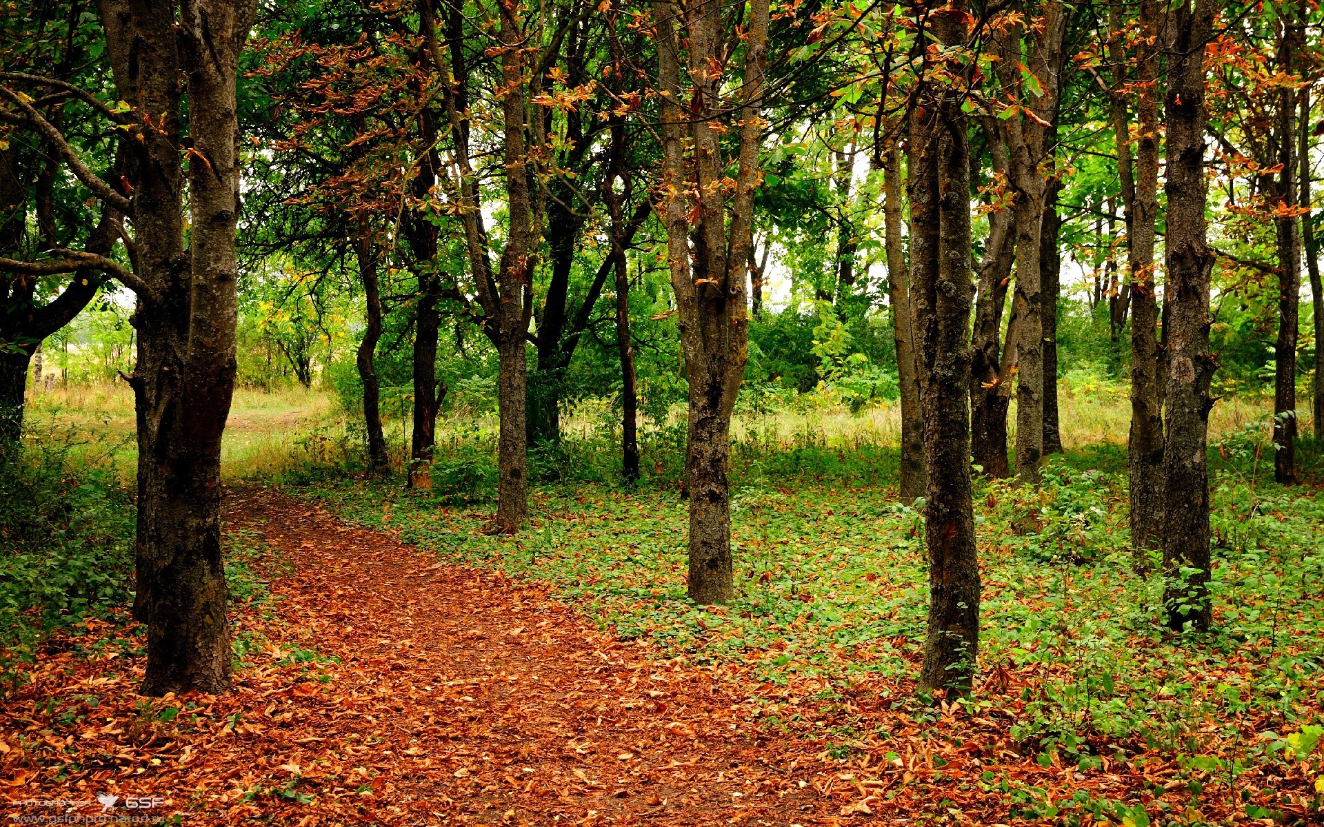 门迪满分封神!曼联单节轰塌亚特兰大
