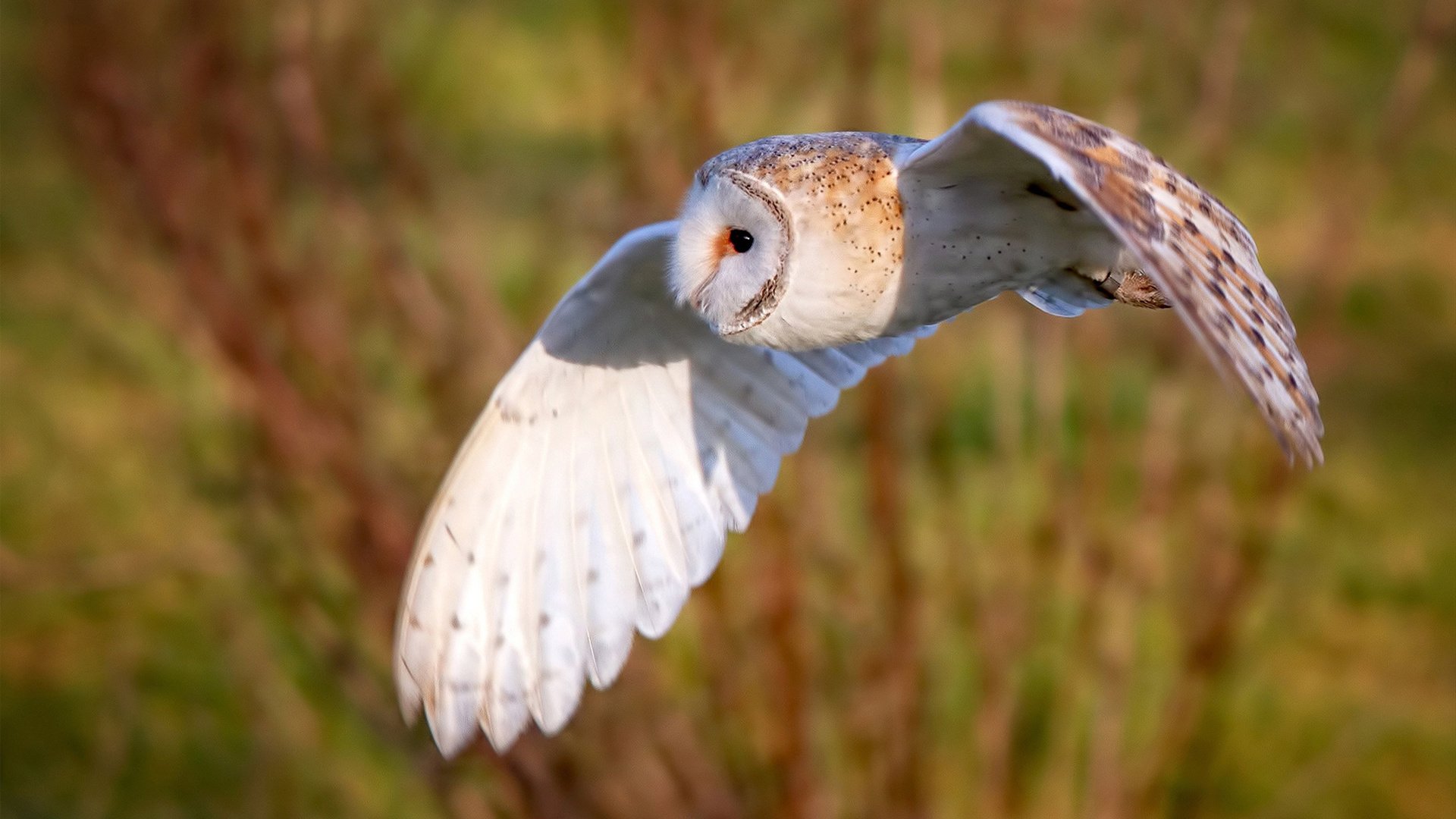乔治,破冰者,总决赛之夜写就的唯一性