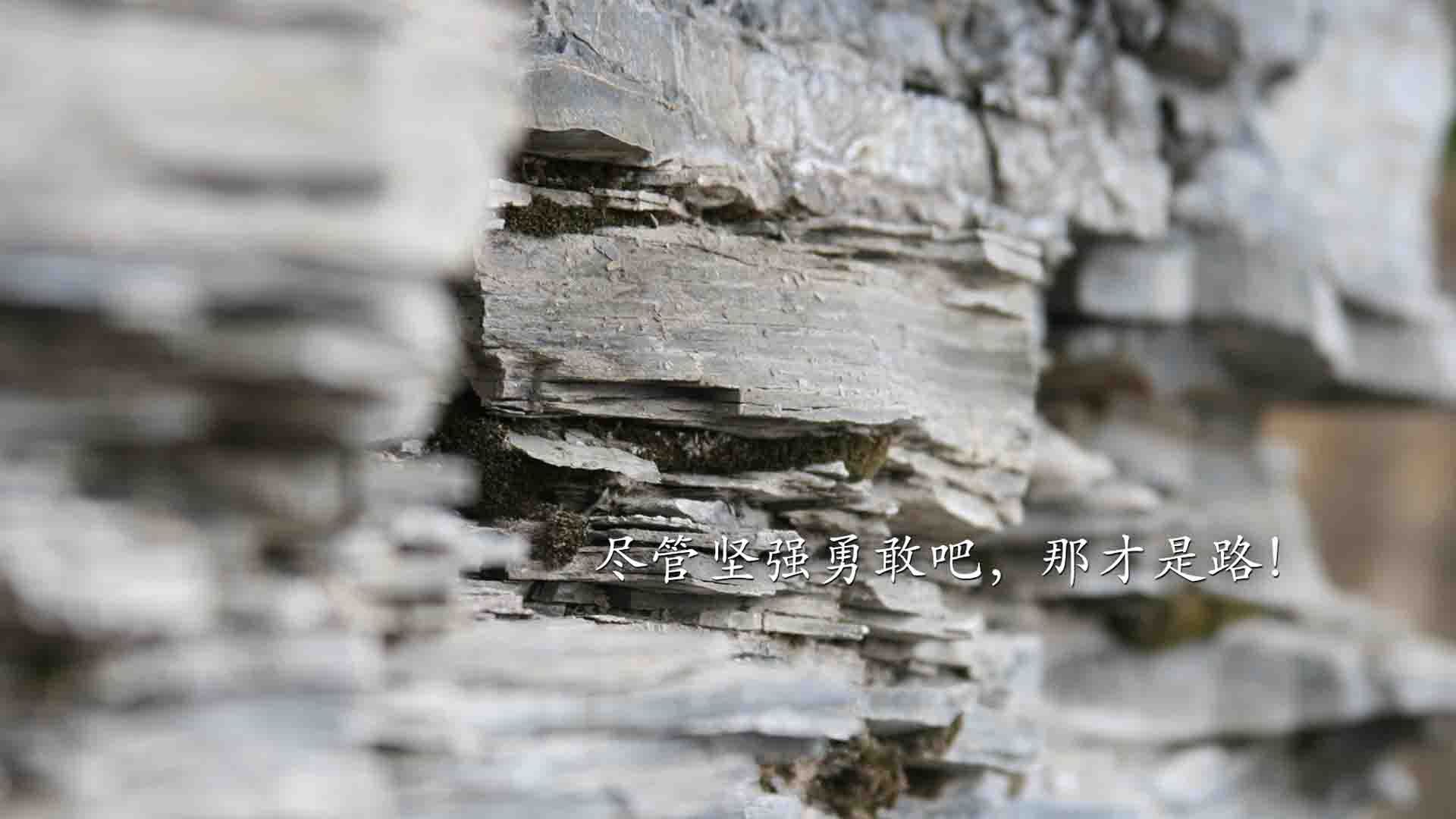 点球之夜，天穹与尘埃