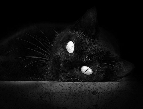 爱游戏官网-迪巴拉扛起全队难救主，瑞典锋刃收割多特蒙德—欧冠赛场上的悲壮与锐利