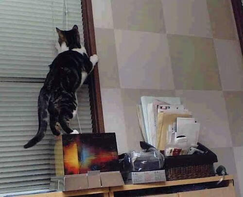 爱游戏在线-双城记，德甲争冠战与快船勇士的跨洋回响