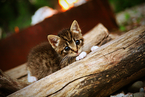 从班凯罗到勇士，节奏的完全掌控，终结的艺术