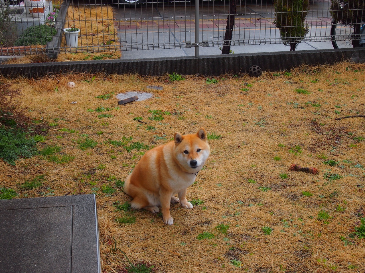 不止于数据，字母哥用一节比赛重新定义巨星价值