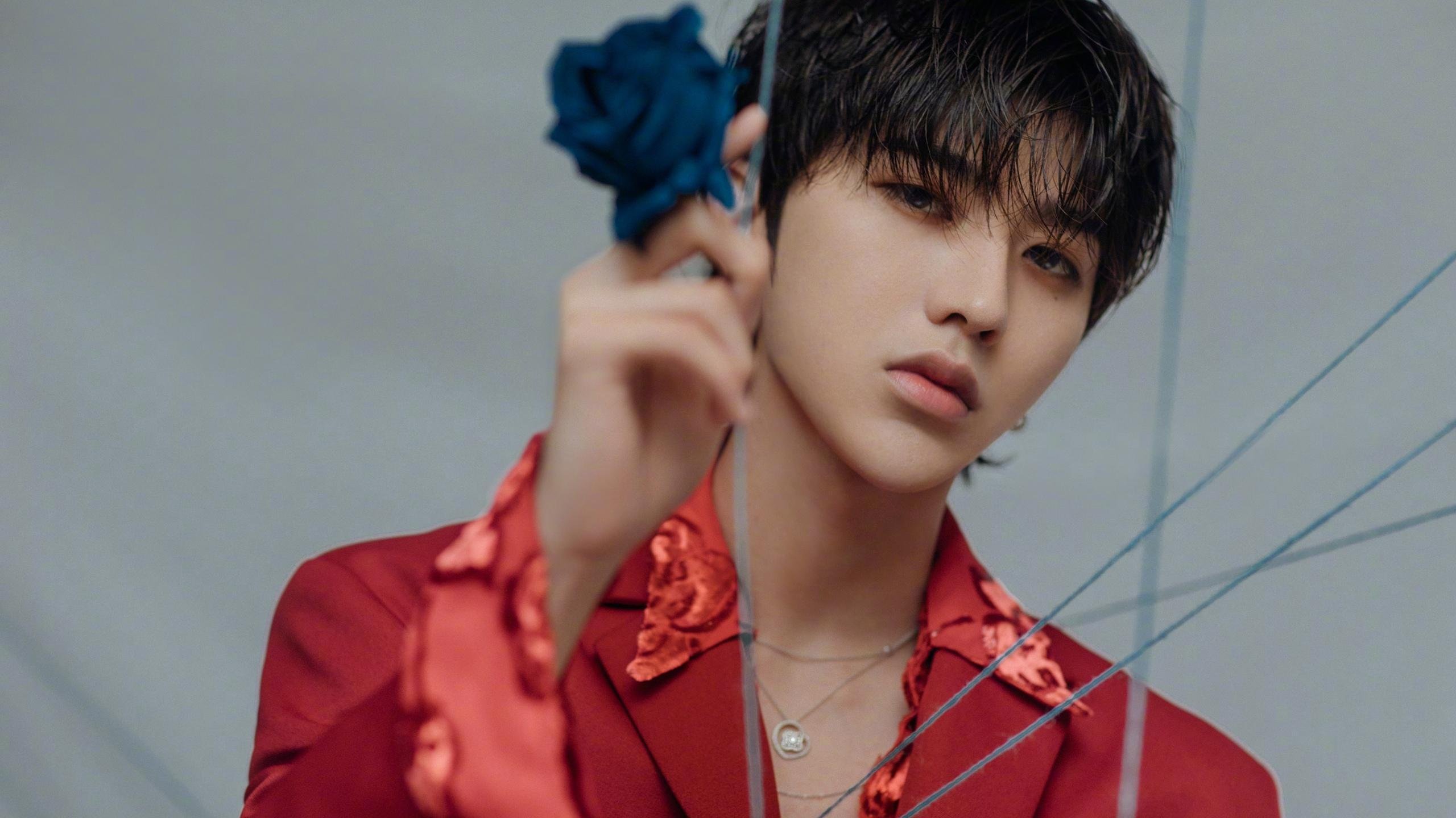 绿茵幻影，当帕尔默成为阿尔及利亚无解之谜