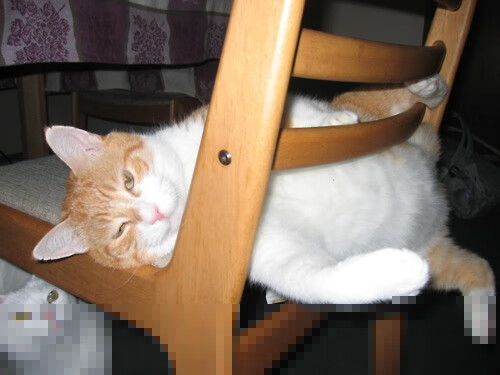 永恒之城见证铁血防线—罗马轻取德国之战，阿坎吉加冕关键先生