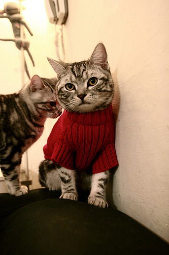 魔术师的魔法不敌节奏大师—德罗赞用慢火炖煮带领北京队攻克奥兰多