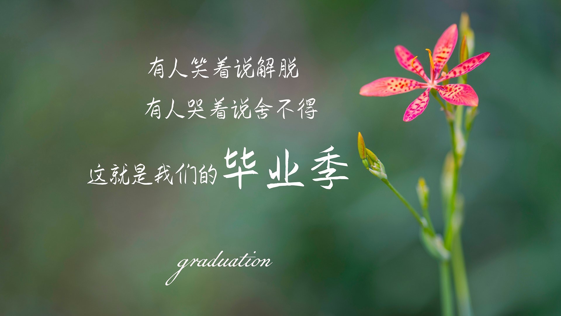 逆转之王，2026世界杯H组焦点战，拉什福德领衔巴西绝地反击，全场压制斯洛伐克