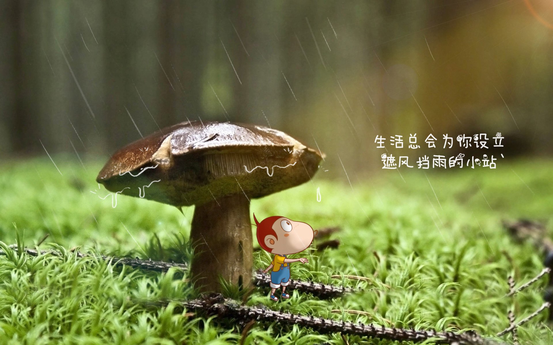 爱游戏官方-绝杀之夜，2026世界杯，越南的奇迹与C罗的不朽
