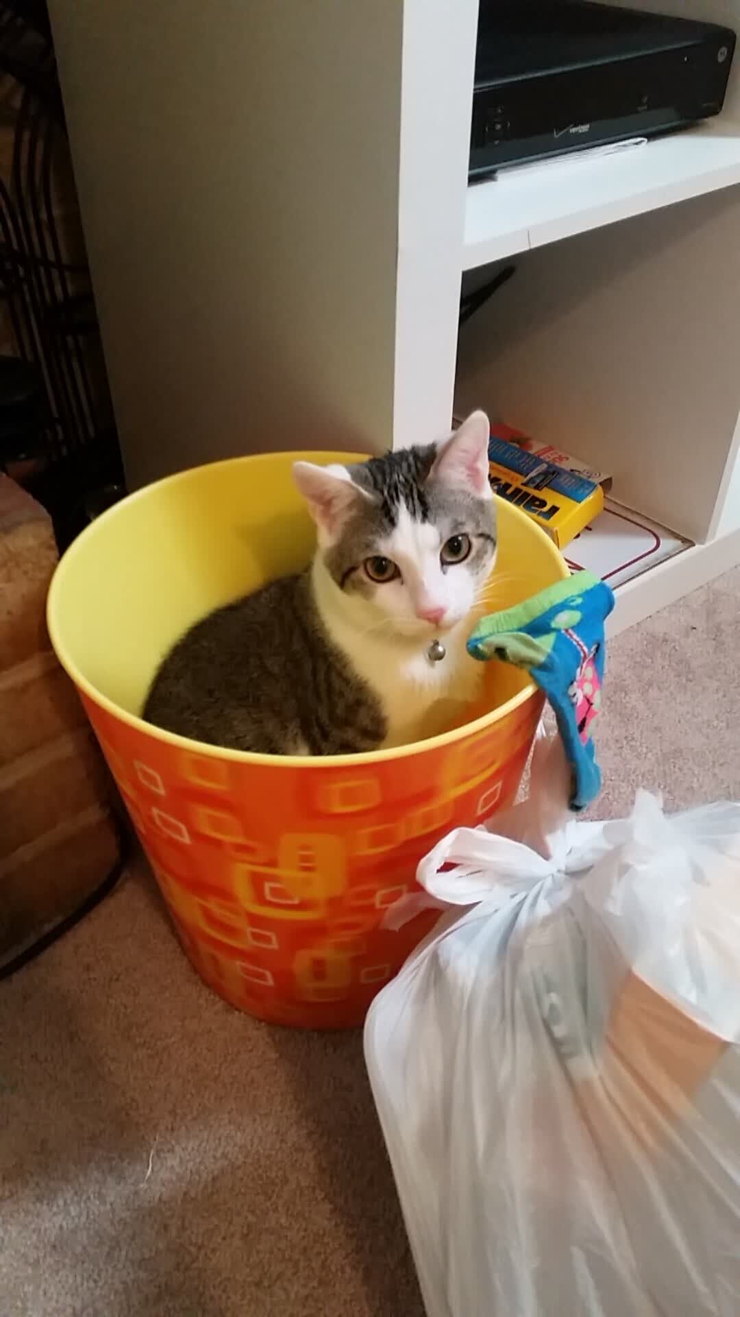 2026盛夏冷门，当加勒比海风暴席卷南美劲旅—哥斯达黎加完胜乌拉圭，姆巴佩导演攻守转换教科书
